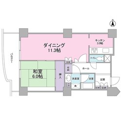 文京グリーンコートビュータワー本駒込の物件間取画像